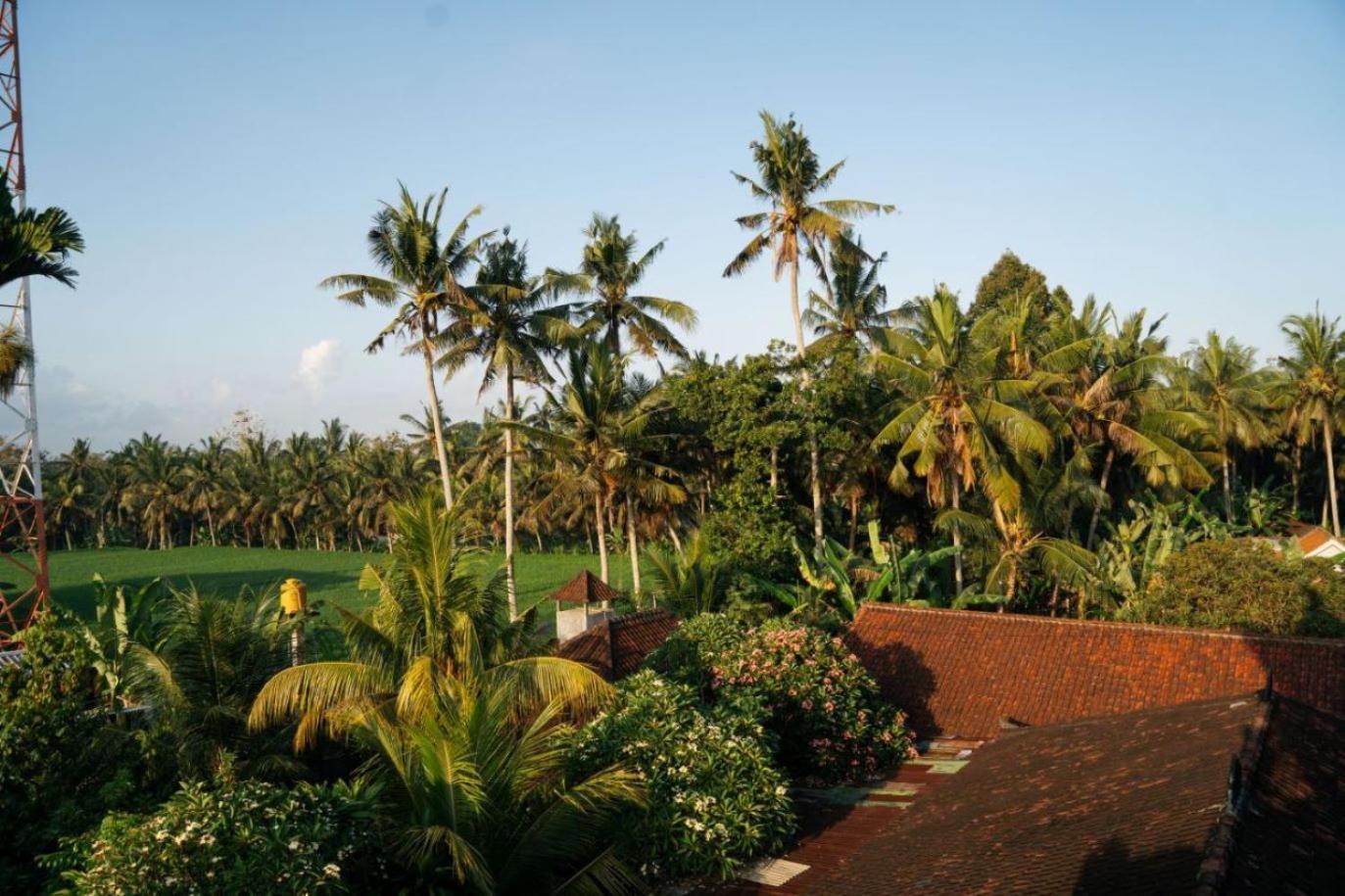 Ubud Backpacker Hostel Экстерьер фото